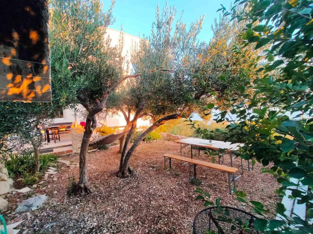 Apartment Croatia Art Drasnice Exterior photo